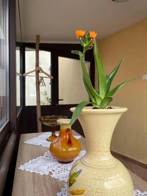 Apartment Above Opatija, N'Amor Donji Rukavac 0*,  Croatia